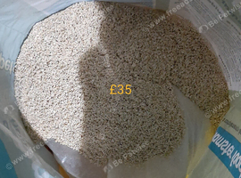 Coral sand.
