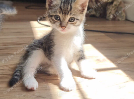 Gorgeous little boy