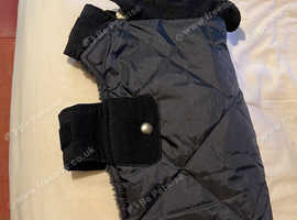 Padded small dog coat