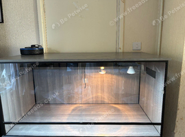 ADULT BEARDED DRAGON VIVARIUM