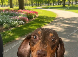 femele 2 years old