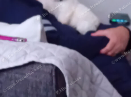 One male puppy