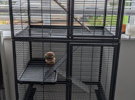 Pawhut Rat cage for sale