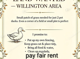 Land wanted