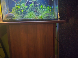 Fish tank for sale