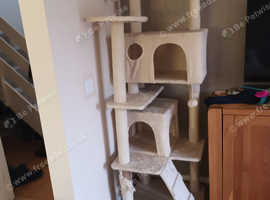 Cat post