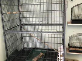 Flight cage
