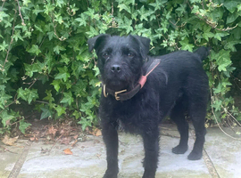 Patterdale