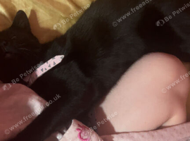 Binx