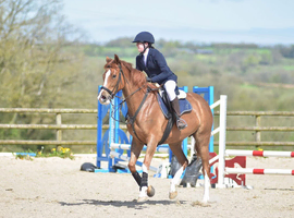 Looking for a part loan to ride and do some showing on