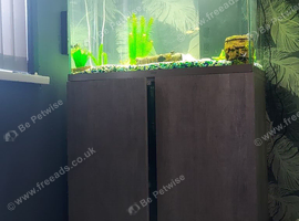 Fish tank and stand