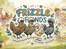 Coming Soon: Gorgeous Polish & Bantam Frizzle Chicks!