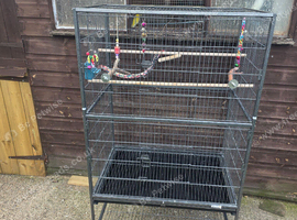 Parrot cage