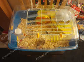 Mice/ hamster cage and accessories