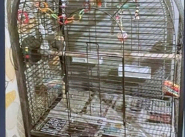 bird cage