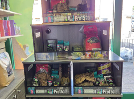 Birthday Surprise - Full 2ft Set Up + free Leopard Gecko under &pound;100