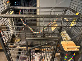 Bird cage
