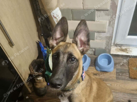 Max 6 months