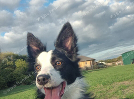 Sweet girl