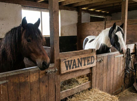 WANTED: Assisted/Part Livery in Swansea (Bishopston/West Cross areas)