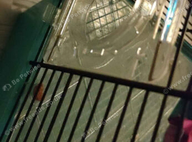 Large habitat 1 hamster cage