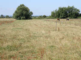 DIY Horse and Pony Livery on Private Yard