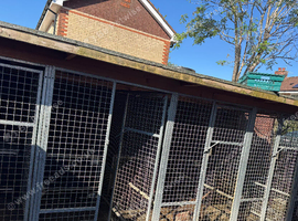 DOG / PUP PENS GALVANISED