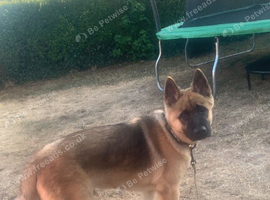 For sale