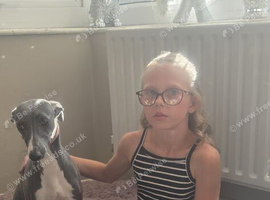 Blue whippet girl