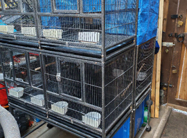Cages