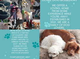 Dog Home Boarding