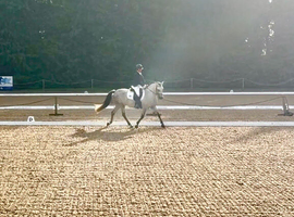 More Than Just a Livery Yard