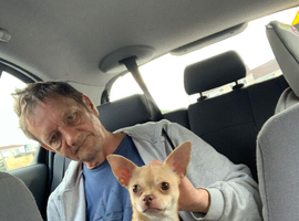 Chihuahua