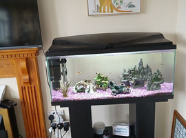 70litre Aquarium complete