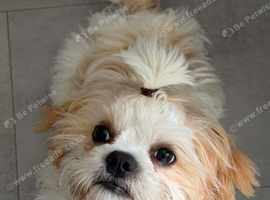 6 months old