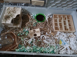 Hamster cage/enclosure Habitat 3