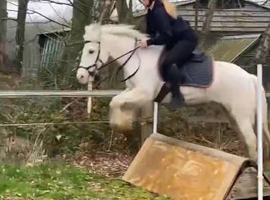 Connie x Cob