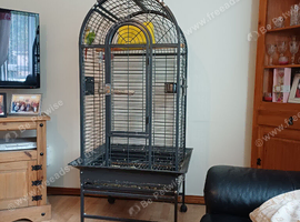 Large cage
