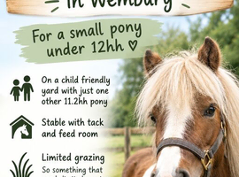 DIY LIVERY SPACE AVAILABLE - SMALL PONY UP TO 12hh in wembury