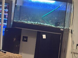 Flu can fish tank