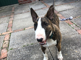 8month selling