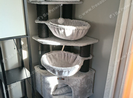 cat tree