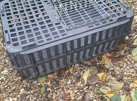 Poultry chicken crate