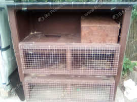 Rabbit hutch
