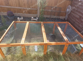 Rabbit run
