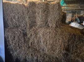 2025 meadow small hay bales