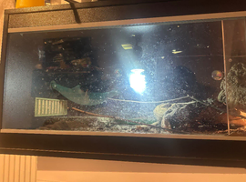 Reptile vivarium and full setup READ DESCRIPTION