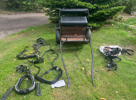 Pony Cart