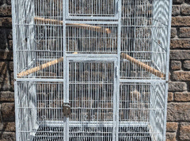 Large Bird Cage For Sale