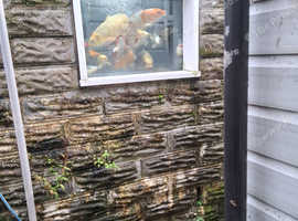 Pond closer